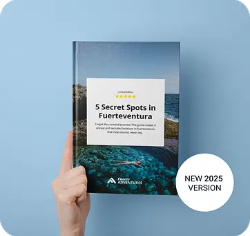 Buggy tour in Fuerteventura – off-road adventure through volcanic landscapes and ocean views